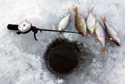 Funcții plutitoare de pescuit de iarnă, tipuri, caracteristici și recenzii