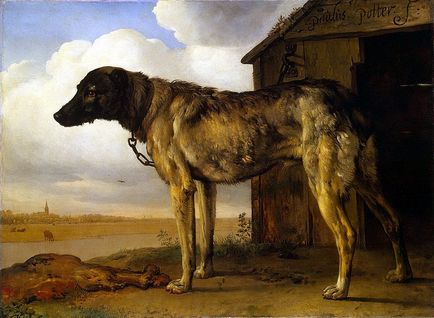 Paulus Potter „lánc kutya”, az egyik hirdetés