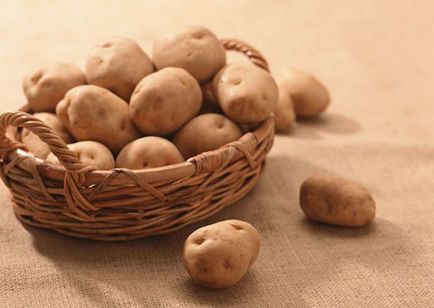 Пізні сорти картоплі терміни посадки в різних регіонах, опис, збір врожаю та зберігання, фото,