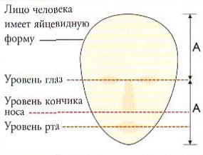 Правила малювання портрета пастеллю, намалюємо самі