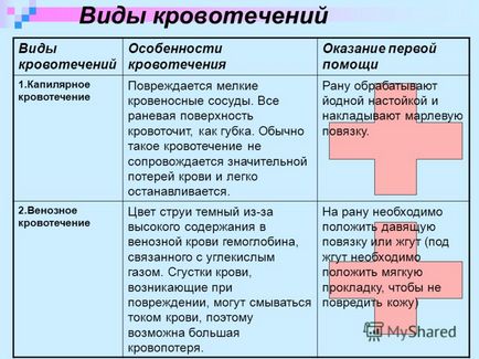 Презентація на тему кров і кровообіг