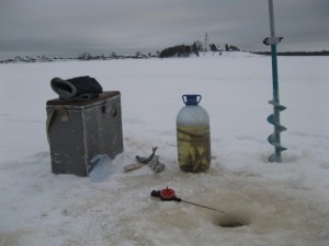 Noi hrănim peștele în timpul iernii corect 