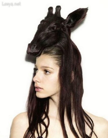 Amuzante, amuzante, creative, stupide și nebun hairstyles (29 poze)