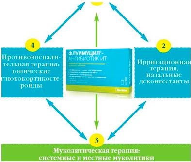 Alkalmazás Fluimucil - antibiotikumok IT inhalációs terápia légúti fertőzések