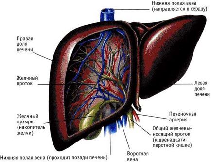 Проблемна шкіра