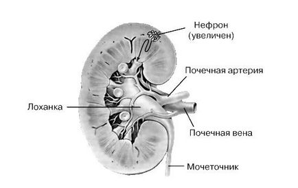 Проблемна шкіра