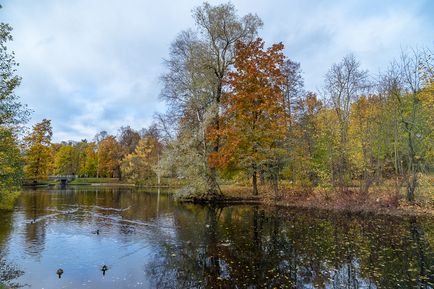 Прогулянка з об'єктивом carl zeiss vario-tessar t fe 24-70 mm f