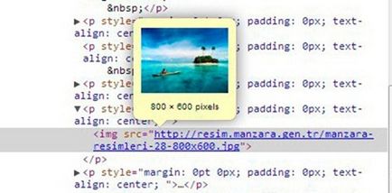 Vizualizați proprietățile (dimensiuni, link-uri) din browser-ul Google Chrome