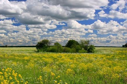 Ставок кюрлевскій кар'єр (Донцов)