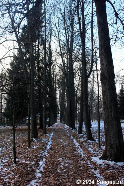 Povești de călătorie