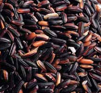 Fajok és fajták rizs, barna és fekete rizs, Basmati rizs, fehér rizs (barna) Fajok és fajták rizs, barna és fekete rizs, Basmati rizs, fehér rizs