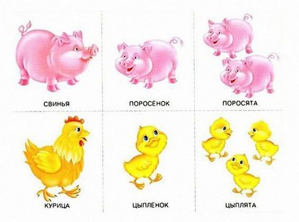 Oktatási kártyák gyerekeknek - ahol a csecsemőknél, akiknek (megtanulni a nevét a fiatal állatok)