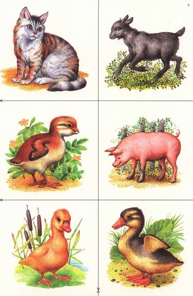Розвиваючі картки для дітей - де чиї діти (вчимо назви дитинчат тварин)