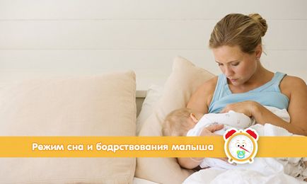 Режим сну і неспання новонародженої дитини - спимо правильно