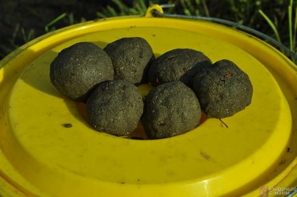 Horgászat velünk „(csak) Horgászat velünk