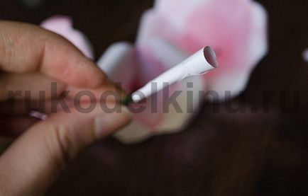 Trandafiri roz de pe hârtie simplă