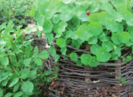 Садові прикраси своїми руками