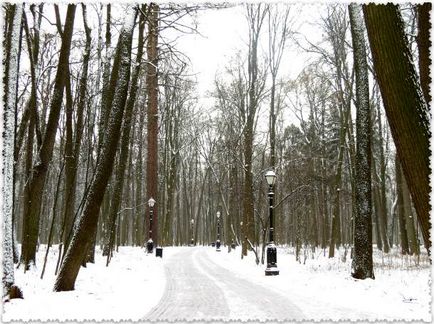 Самостійна екскурсія в музей «Царицино», вояж з Тетяною висоцької