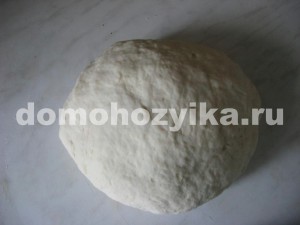 Samsa, a recept egy fotó (hogyan kell főzni Samsa) Samsa, a recept egy fotót