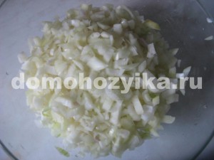 Samsa-recept fényképpel (samosa a sütő) Samsa, a recept egy fotót