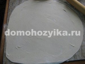 Samsa-recept fotó (főzés) Samsa, a recept egy fotót