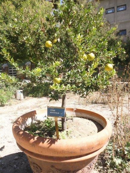 Sardinia într-o zi pe dealuri - o imagine de ansamblu asupra Italiei