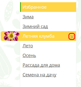 Насіння цинерарія алмазна пудра купити за найкращими цінами в Москві