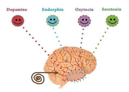 Sindromul serotonin are informații importante despre starea dumneavoastră de sănătate
