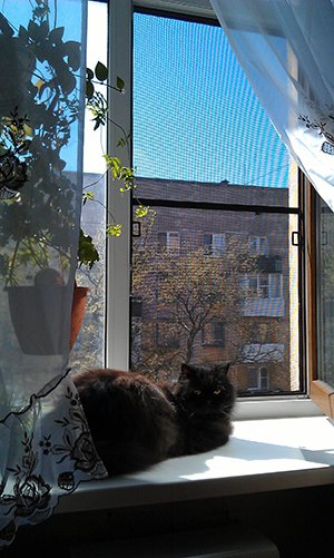 Mesh antikoshka pe ferestre metalice proiecte de țânțari