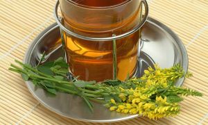 Джмелині мед корисні властивості