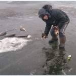 Pike pentru pescuitul de iarnă cu propriile mâini