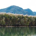 Imaginile lacului Skadar