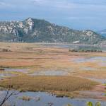 Imaginile lacului Skadar