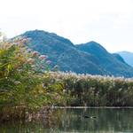 Imaginile lacului Skadar