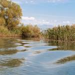 Imaginile lacului Skadar