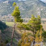 Imaginile lacului Skadar