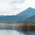 Imaginile lacului Skadar