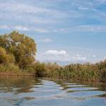 Imaginile lacului Skadar