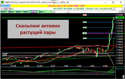 Forex Scalping