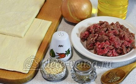 Puțuri cu carne pas cu pas rețetă (17 fotografii)