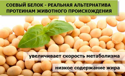 Соєвий протеїн плюси і мінуси добавки, правила використання в бодібілдингу