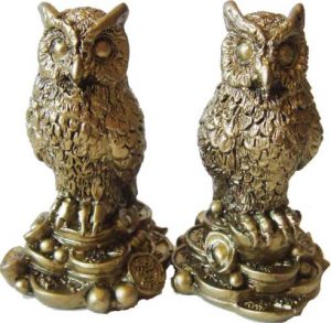 Owl pe Feng Shui