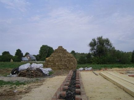 Construirea unei tehnologii Ecohouse for Wireframe