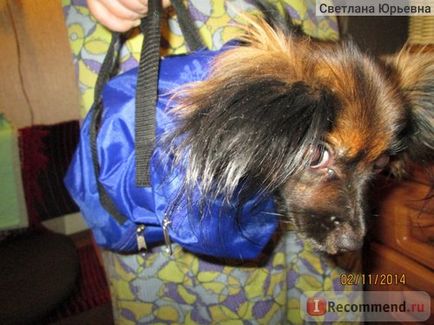 Un sac de inspecție pentru animale Kruuse Buster - 