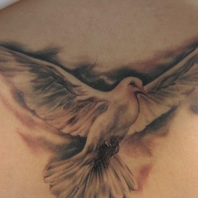 Dove Tattoo