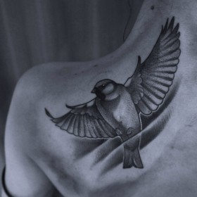 Dove Tattoo