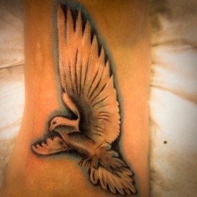 Dove Tattoo