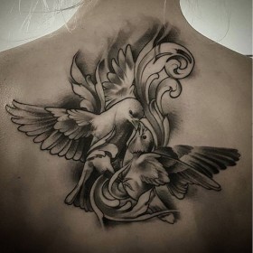 Dove Tattoo