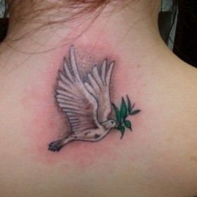 Dove Tattoo