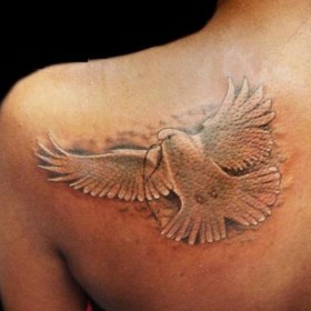 Dove Tattoo